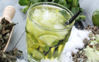 Frozen Green Tea with Ginger and Mint